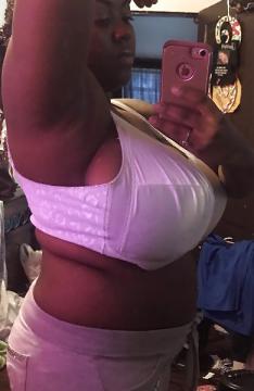 SHanx aus Noord-Holland,Niederlande